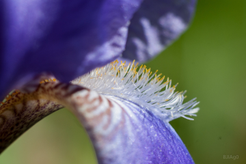 june-04_0006